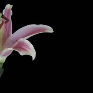 Meet your Posher, Tatyana